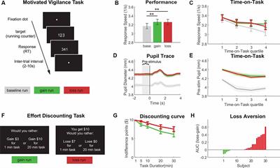 Losses Motivate Cognitive Effort More Than Gains in Effort-Based Decision Making and Performance